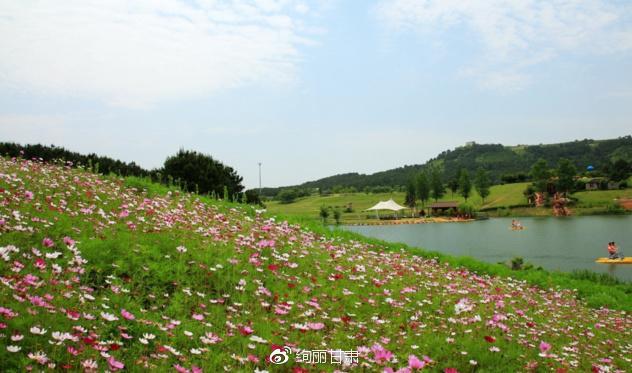 格桑花草原——怜取眼前人