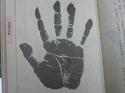 ​假断掌手相图解及分析