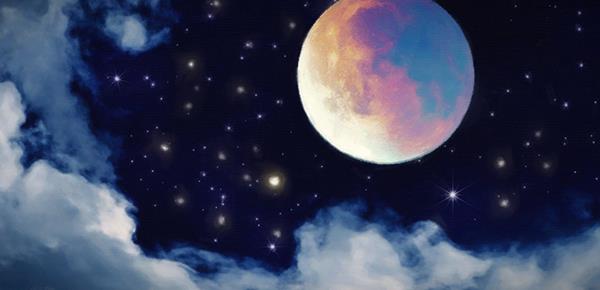 自我为中心的男人的婚姻是什么样的