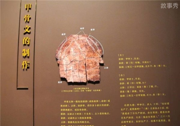 网络图片(侵删)