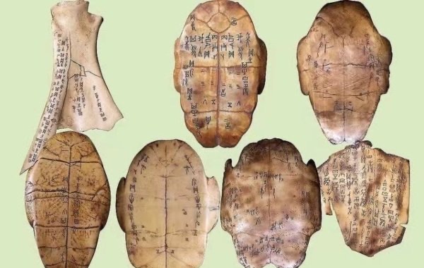 网络图片(侵删)