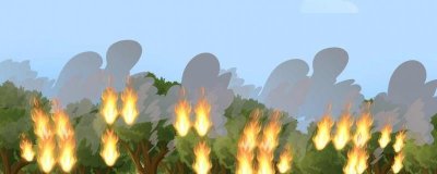 ​森林防火期是什么时候