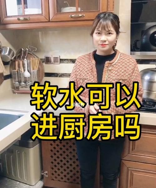 软水机软化后的软水能不能用来洗菜呢