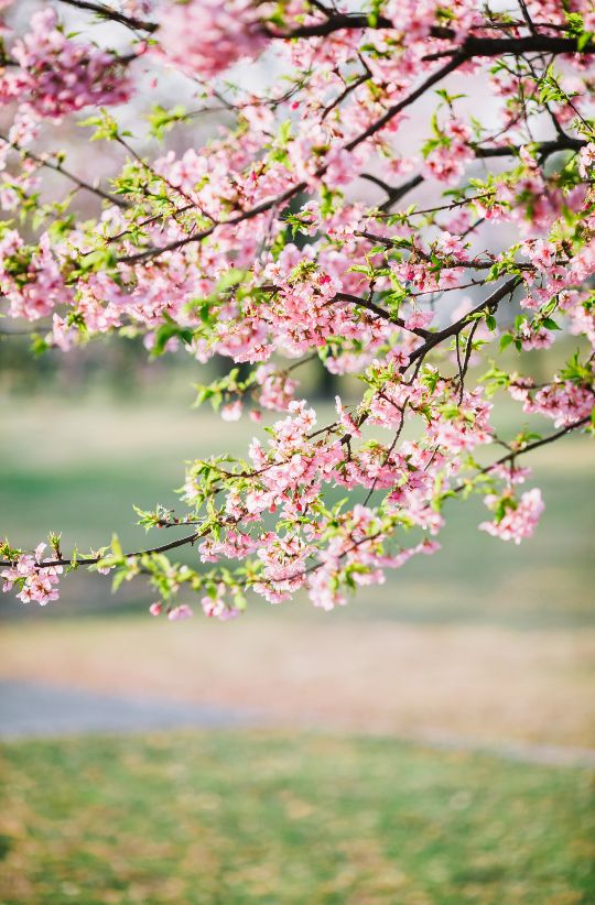 猛浪若奔的奔是什么意思（文言文词类活用知识归纳）