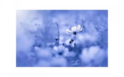 ​追女人的时候说什么话最好(追女人时最好要说五句话)