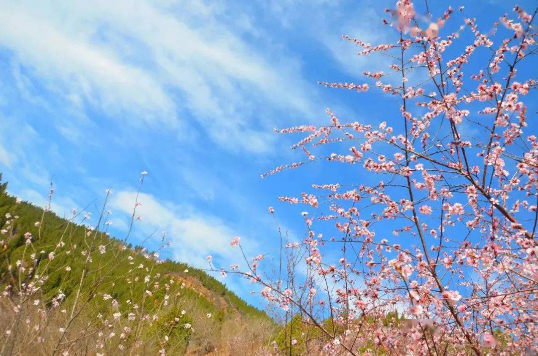 3月份是什么季节(俗语“三月南风不过三”什么意思)