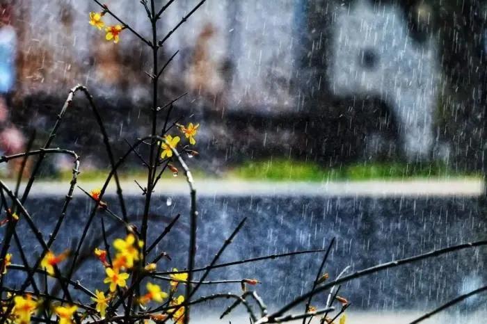 3月份是什么季节(俗语“三月南风不过三”什么意思)