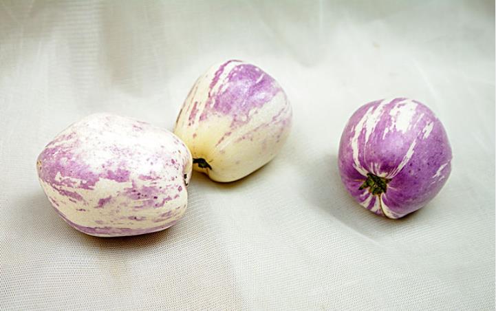 湿气重可以吃人参果吗 人参果是软的好吃还是硬的好吃 湿气重可以吃人参果吗 人参果是软的好吃还是硬的好吃