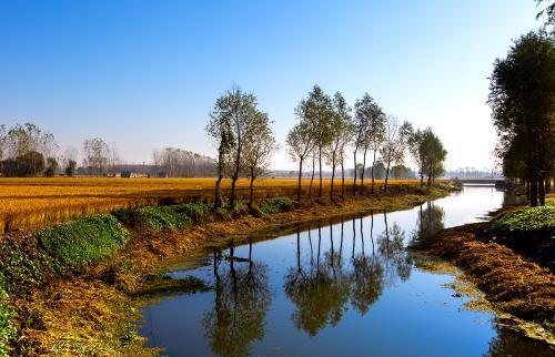 养儿方知父母恩下一句(讲解1句农村俗语的含义)