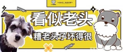 糟老头是什么意思(自称糟老头什么意思)