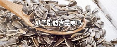 ​瓜子脂肪含量高吗 瓜子的功效与作用