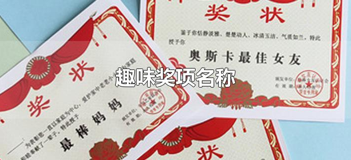 趣味奖项名称 趣味奖项名称