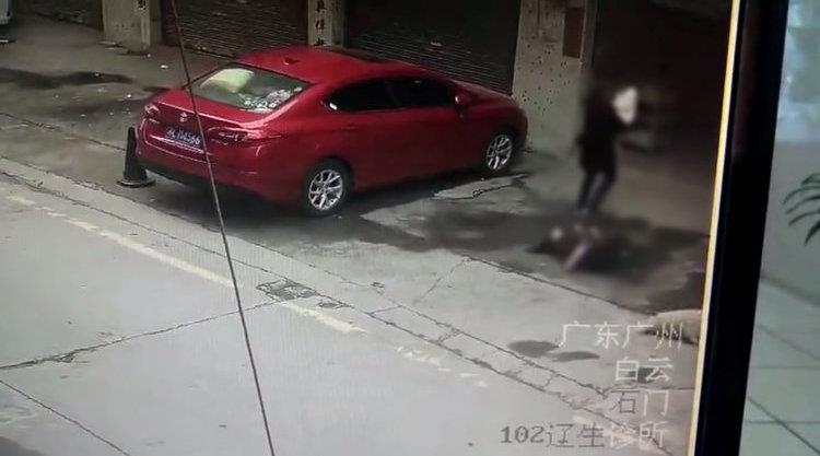 “女子被天降大狗砸瘫案”一审宣判：两被告被判赔117万