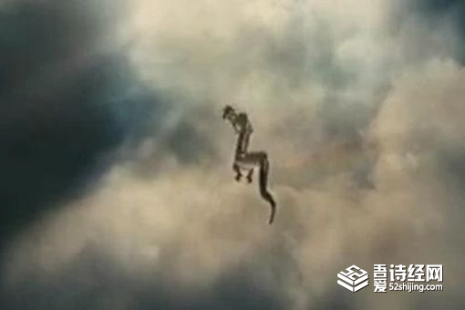 松花江坠龙的真相 江内到底是什么物种 松花江坠龙的真相 江内到底是什么物种