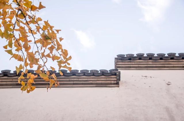 唐诗三百首经典名句大全（99句宝藏唐诗全是千古名句）(4)