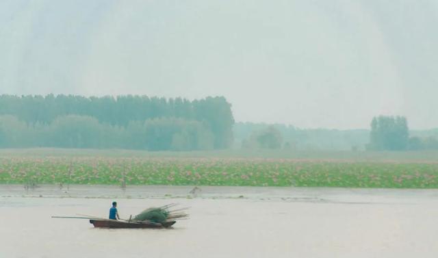 唐诗三百首经典名句大全（99句宝藏唐诗全是千古名句）(9)