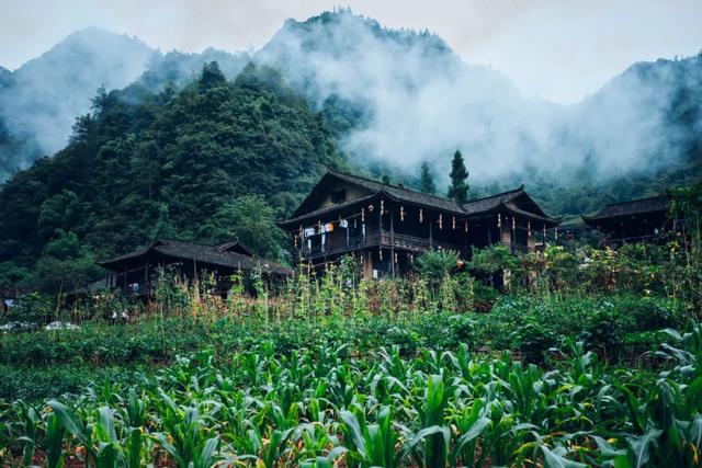 唐诗三百首经典名句大全（99句宝藏唐诗全是千古名句）(5)