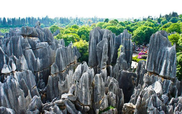 石林地貌是怎么形成的(石林形成的过程)