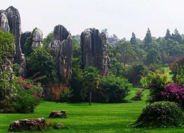 石林地貌是怎么形成的(石林形成的过程)