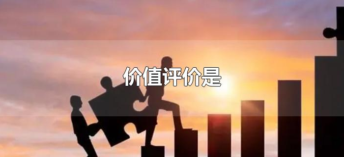 价值评价是