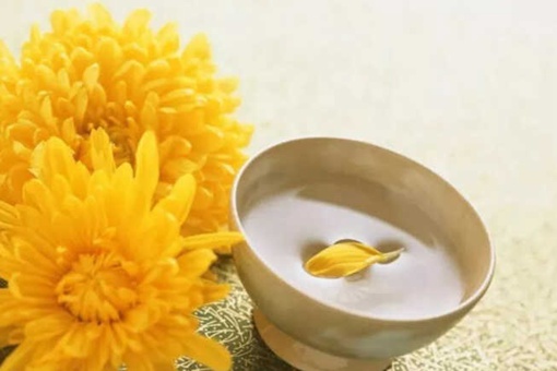 重阳节的意义是什么 重阳节的来历简介