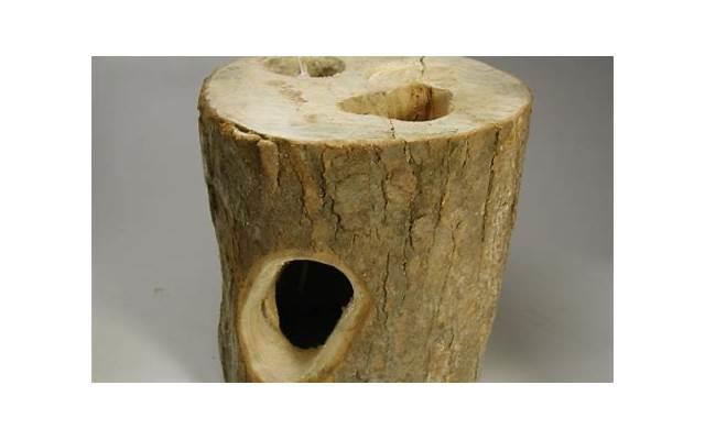 兴趣满满的意思