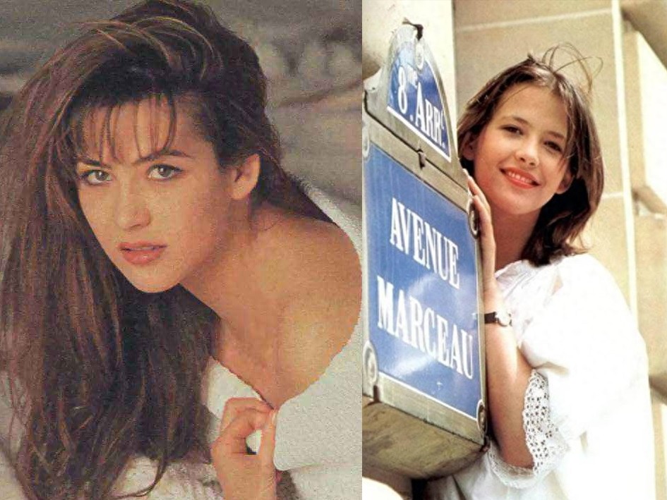 法兰西玫瑰，“苏菲玛索”惊艳了一个时代的容颜，无数人的女神