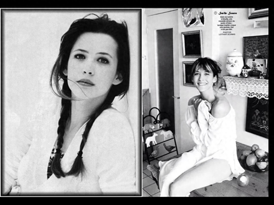 法兰西玫瑰，“苏菲玛索”惊艳了一个时代的容颜，无数人的女神