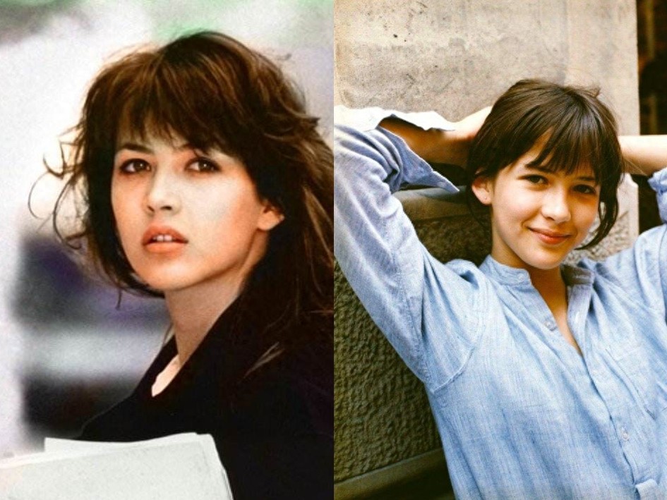 法兰西玫瑰，“苏菲玛索”惊艳了一个时代的容颜，无数人的女神