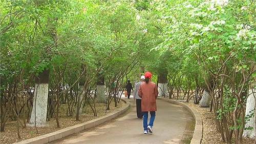 哈尔滨隐藏最深的一座公园，外地人恐怕都找不到——清滨公园