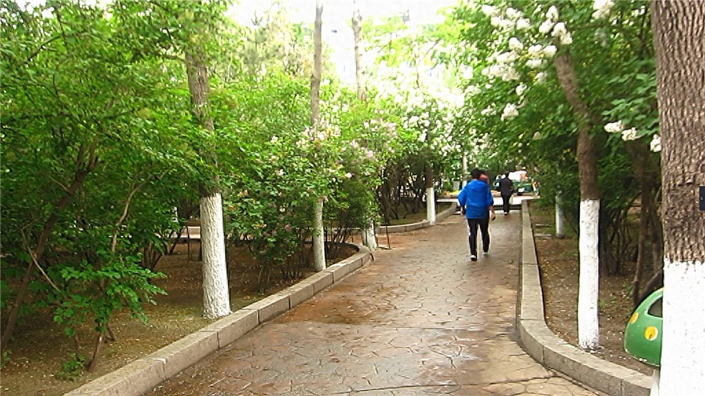 哈尔滨隐藏最深的一座公园，外地人恐怕都找不到——清滨公园