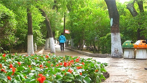 哈尔滨隐藏最深的一座公园，外地人恐怕都找不到——清滨公园