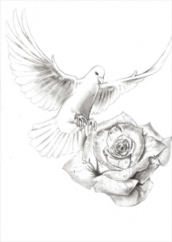 趣味素描——小鸟