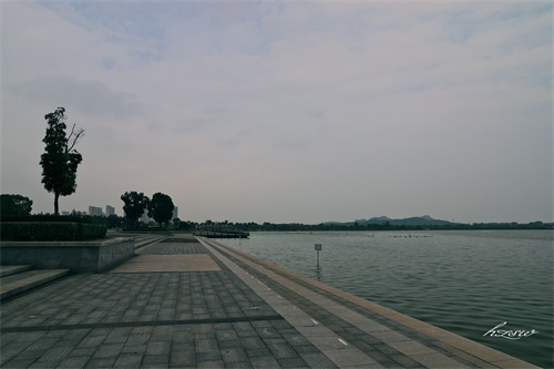 玩遍芜湖水系篇：莲花湖