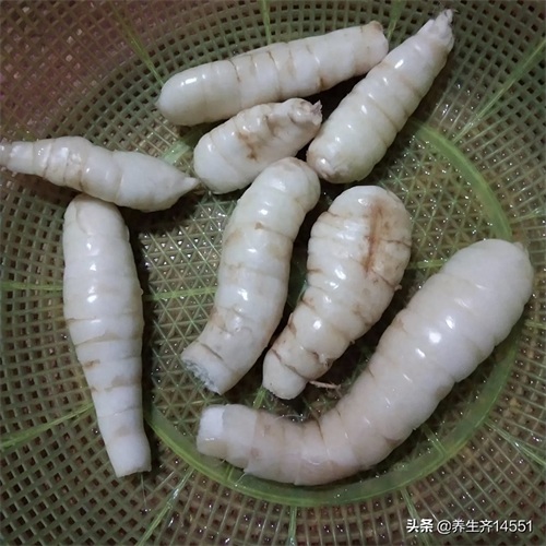 这六种“芋”，有全都认识的吗？