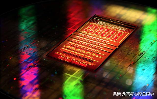 就业前景好的十大专业排名（大学最热门的5个专业盘点）(3)