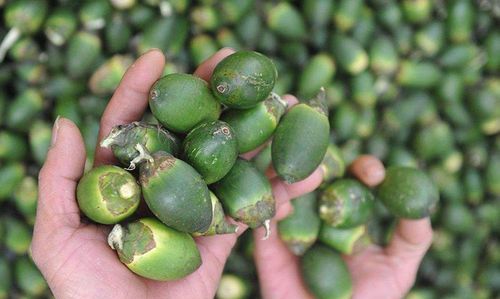 槟榔过期了还能吃吗