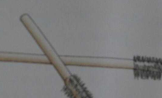 梳洗之刑是什么,梳洗之刑是一种怎样恐怖的刑罚图1