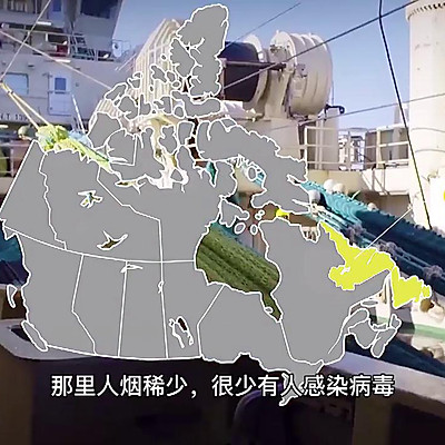 籽虾怎么做好吃（籽虾既美味有高级的新吃法）