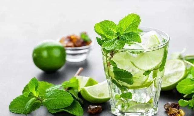 Mojito什么意思，mojito是什么意思？图3