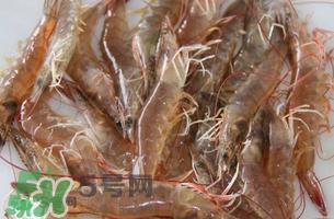 活基围虾怎么保存？活基围虾怎么处理干净？