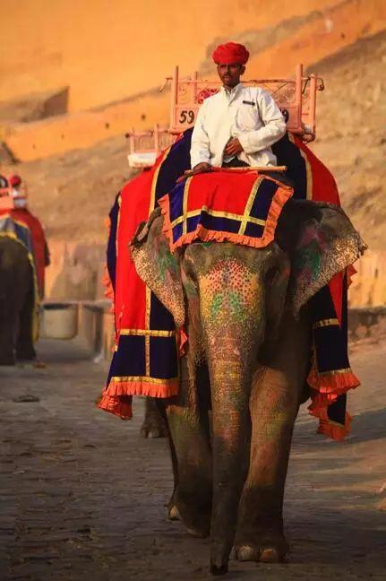 一带一路都有哪些国家（被一带一路带火的20个国家）(15)