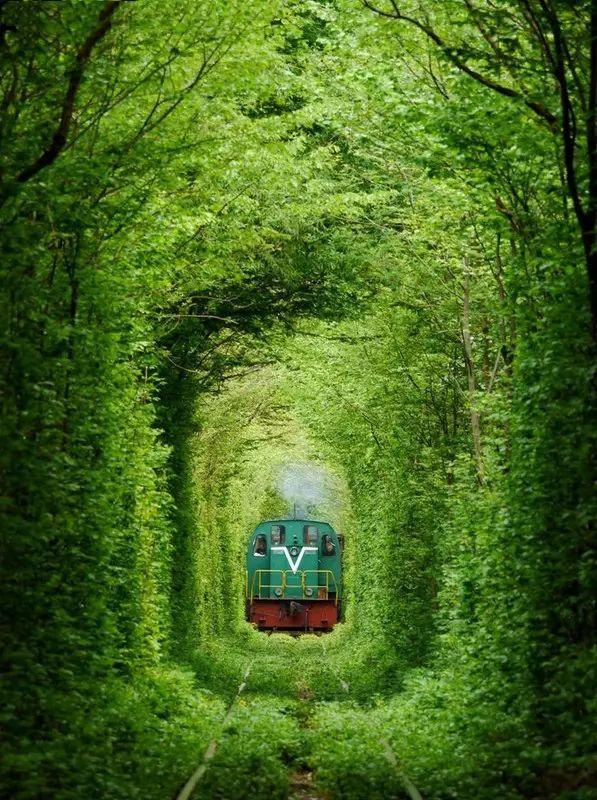 一带一路都有哪些国家（被一带一路带火的20个国家）(46)