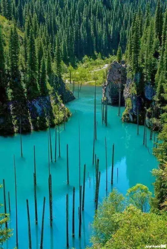 一带一路都有哪些国家（被一带一路带火的20个国家）(26)