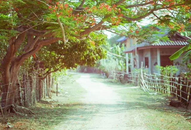 一带一路都有哪些国家（被一带一路带火的20个国家）(7)