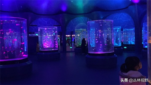 父女同游上海海昌海洋公园