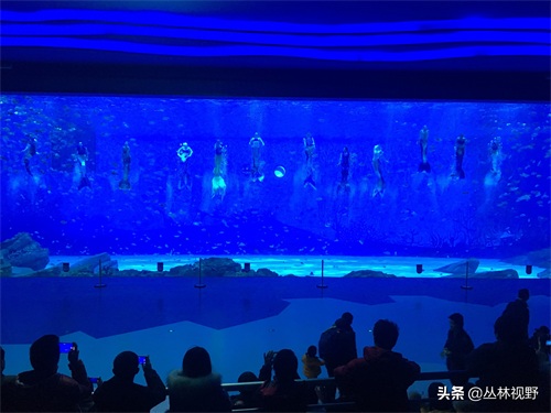 父女同游上海海昌海洋公园