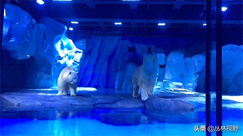 父女同游上海海昌海洋公园