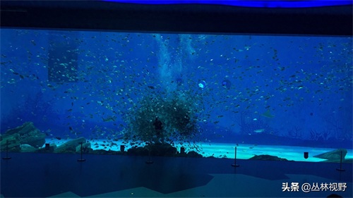 父女同游上海海昌海洋公园