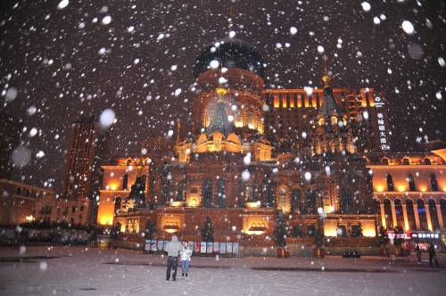 哈尔滨下雪了，景色太美了